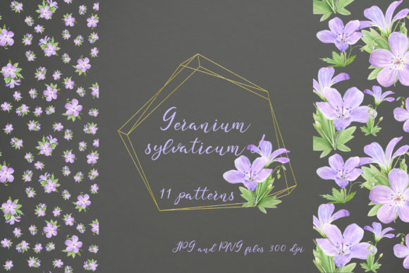 11 Seamless Patterns with Geranium Review