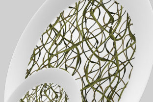 Abstract Pattern Design: Modern Patterns for Branding
