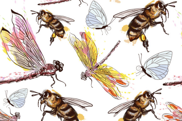 Vector Dragonfly Bees and Butterflies Review